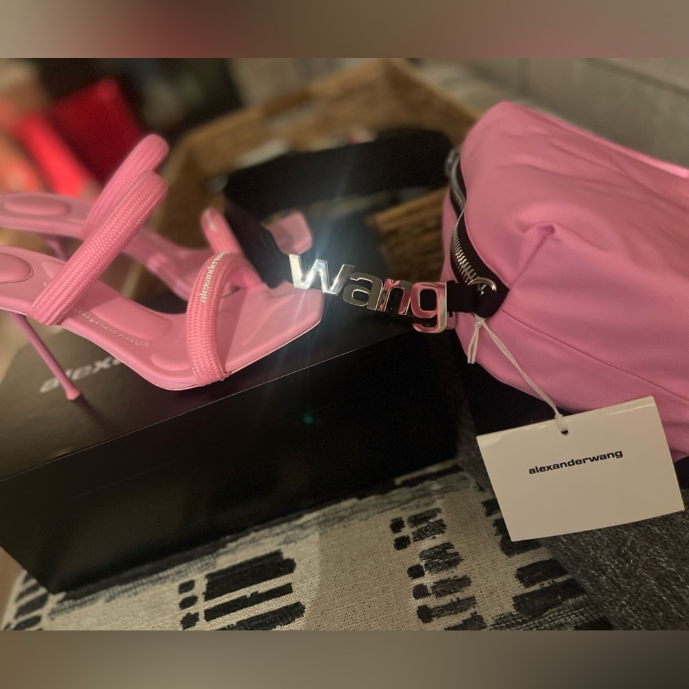 Alexander wang heels & Alexander Wang bag
